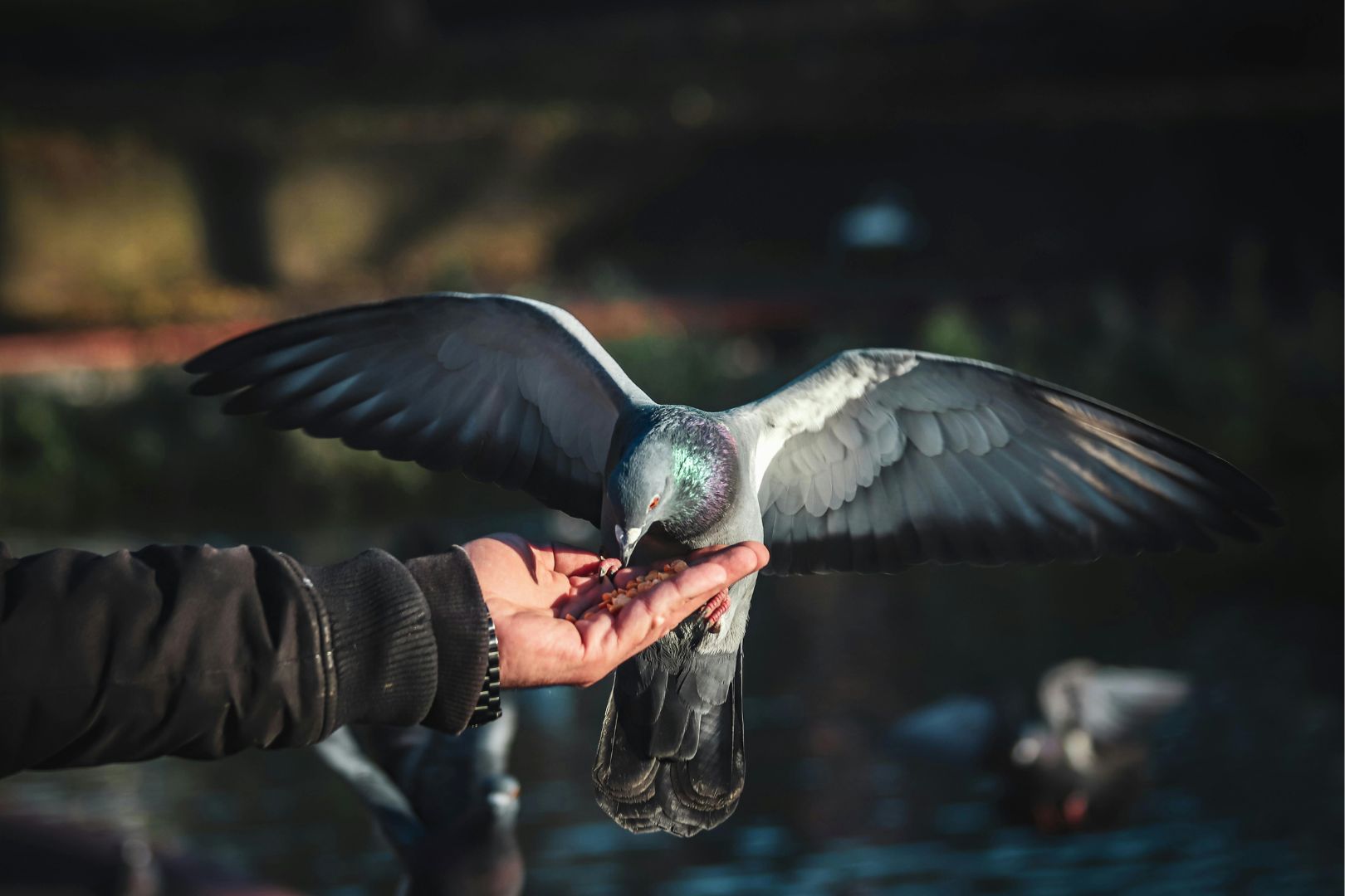 kirjekyyhky ihmisen kädellä